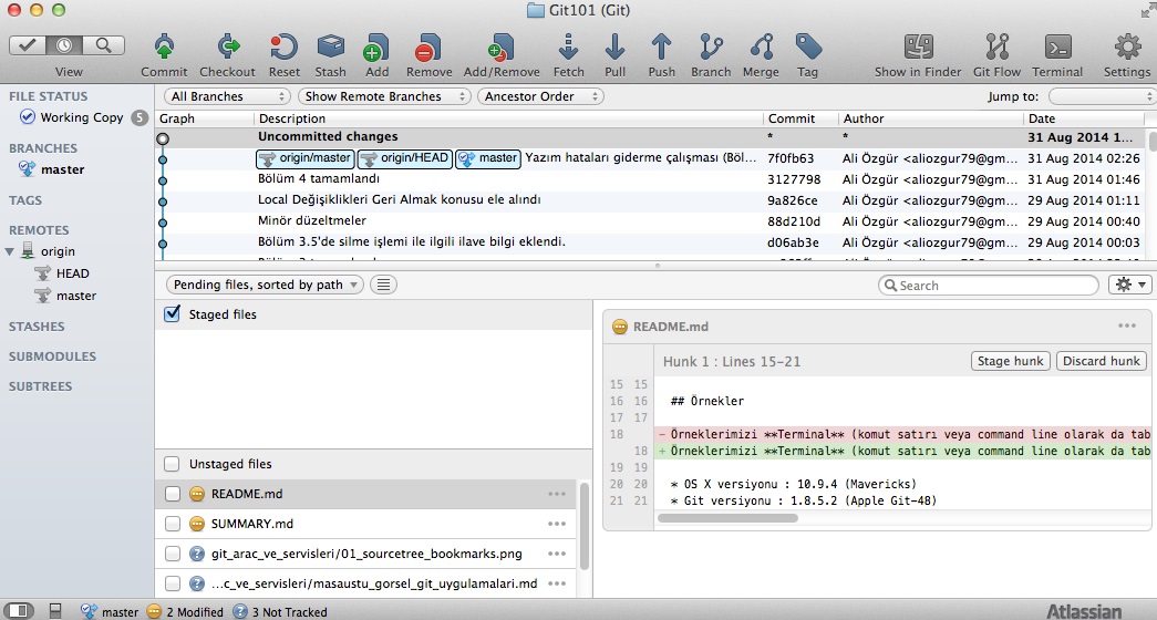 SourceTree Repository